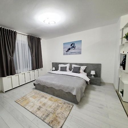 Fresh Mountain Brasov Apartman Kültér fotó