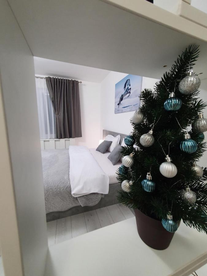 Fresh Mountain Brasov Apartman Kültér fotó