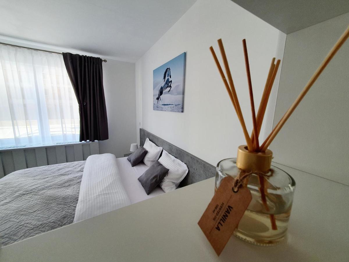 Fresh Mountain Brasov Apartman Kültér fotó