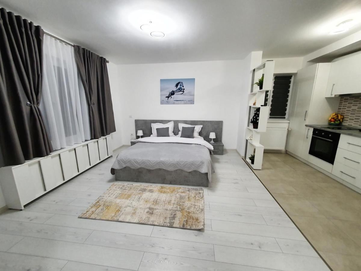 Fresh Mountain Brasov Apartman Kültér fotó