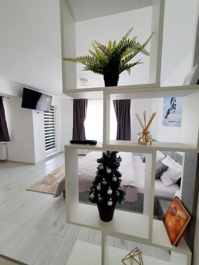 Fresh Mountain Brasov Apartman Kültér fotó