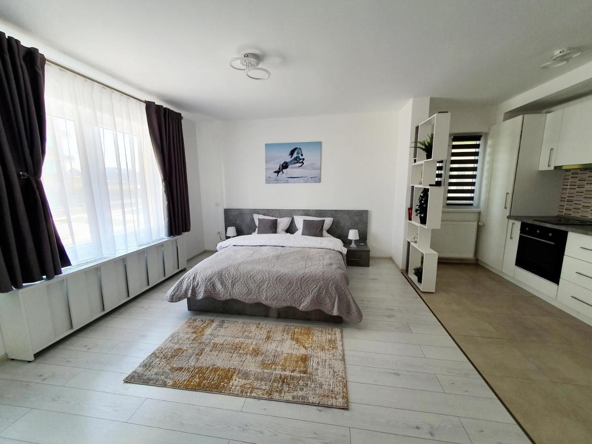 Fresh Mountain Brasov Apartman Kültér fotó