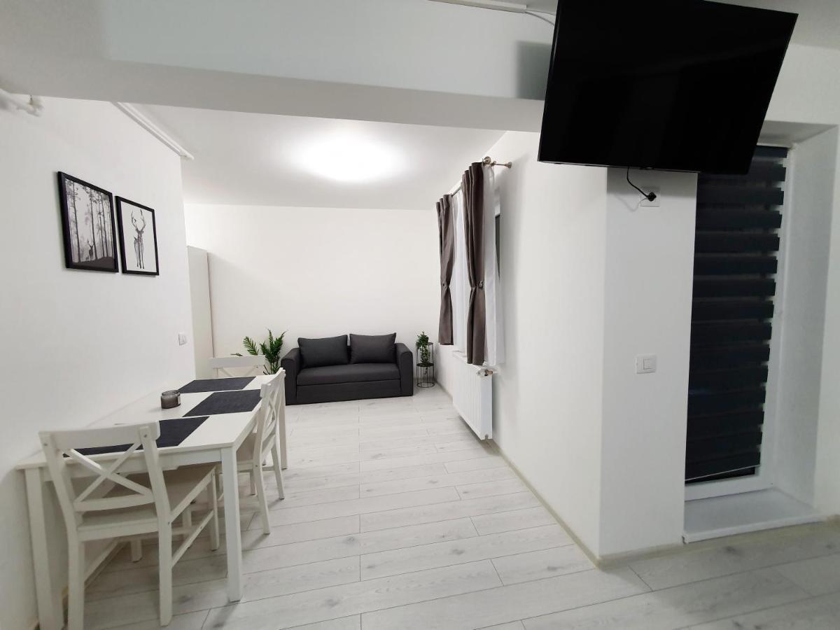 Fresh Mountain Brasov Apartman Kültér fotó